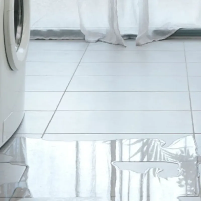 Appliance Leak Cleanup in Grafton County, NH
