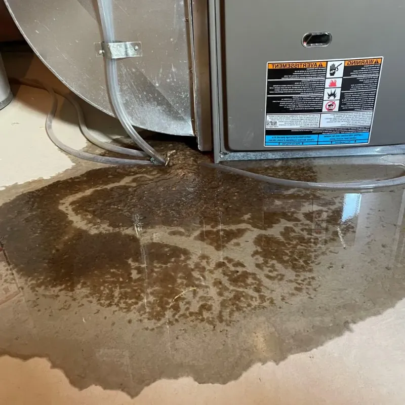 Pipe Burst and Leak Restoration in Grafton County, NH